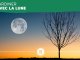 Calendrier lunaire 2022 : jardiner avec la Lune