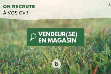 Offre d’emploi à Challans : vendeur(se) en motoculture de plaisance