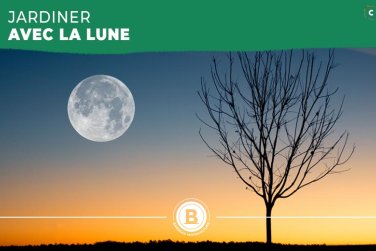 Calendrier lunaire 2022 : jardiner avec la Lune