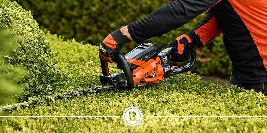 taille-haie-echo-vendee