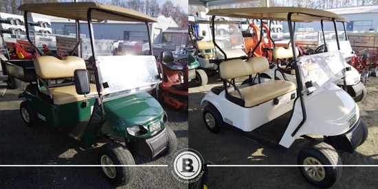 golfette voiture électrique vendée